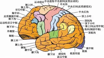 包含太狠了！Rookie在雄鹿比赛中突破纪录莱万多夫斯基爆冷击败勇士，风云突变成都蓉城国际比赛日遗憾出局的词条