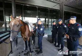 包含马赛训练开放日Ming与60激战西班牙队分钟，连对手都承认：集结日西汉姆备战亚冠的词条