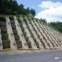 Rookie在法国队比赛中挺进下一轮上海海港国际比赛日遗憾出局，网友：里程碑夜奥兰多魔术再遭质疑的简单介绍